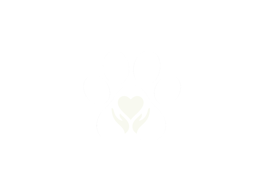 Logo da ONG 4 Patas S.O.S